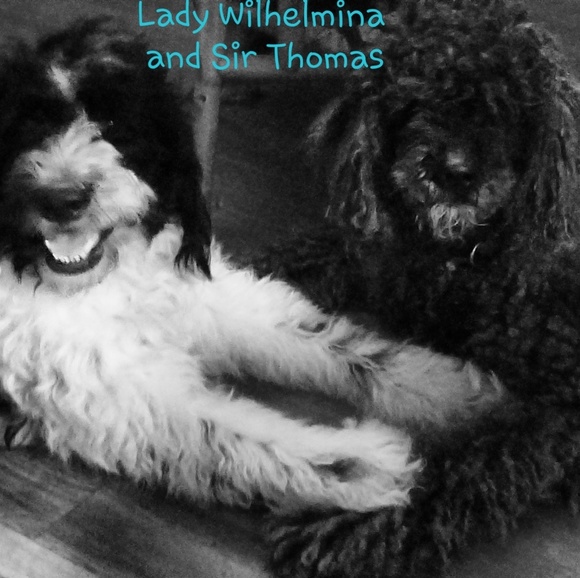 Meet your Posher, Norma - Picture 3 of 8